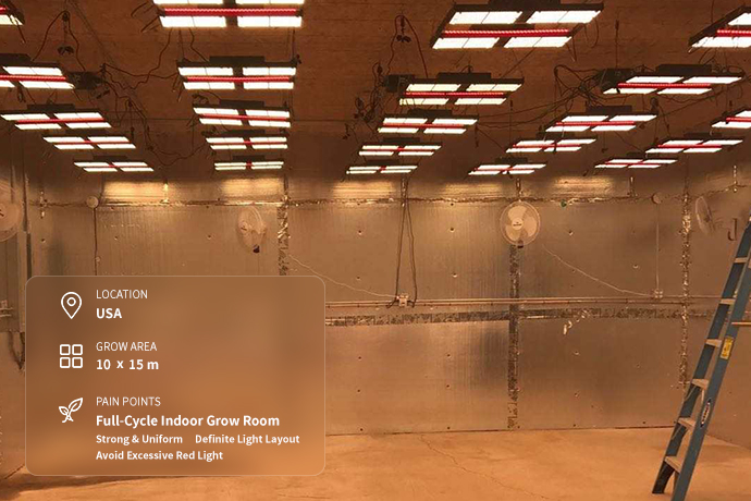 Grow Room — USA ICEVER helped design the complete lighting layout and lighting stages, enabling the system to adapt to different growing phases.
