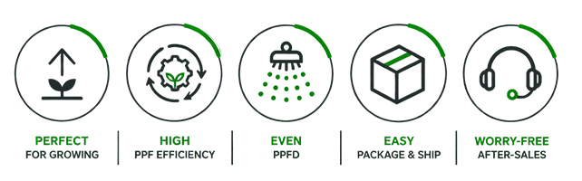 5 Key Services 5 Key Services ICEVER provides five key services for the grow light industry, helping customers solve real-world challenges with complete and reliable solutions.