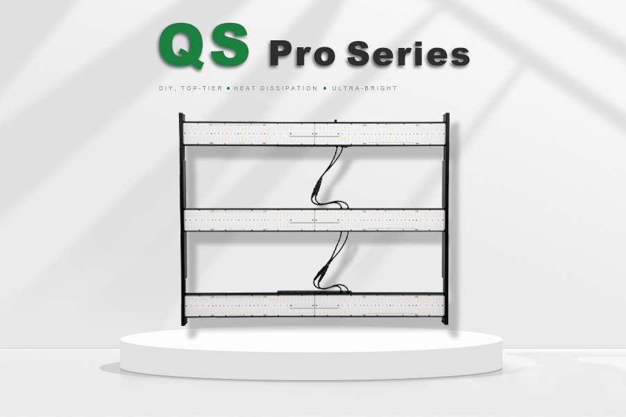QS