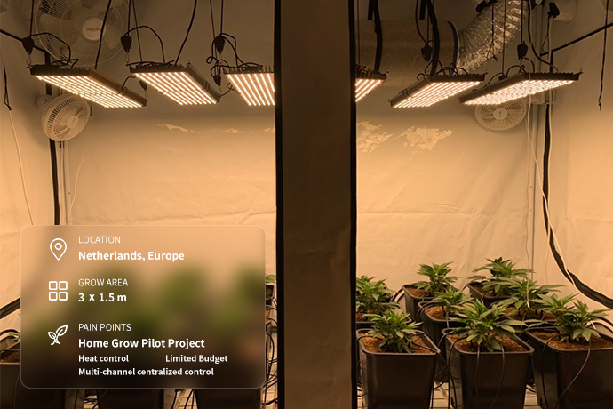 Home Growing — Netherlands ICEVER helped address existing product pain points through a home-growing product pilot, improving product performance, market competitiveness, and sales potential.