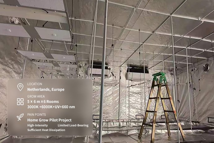 Flexible Project — Netherlands ICEVER helped build a high-efficiency grow room with a low investment, delivering strong returns and excellent customer feedback.