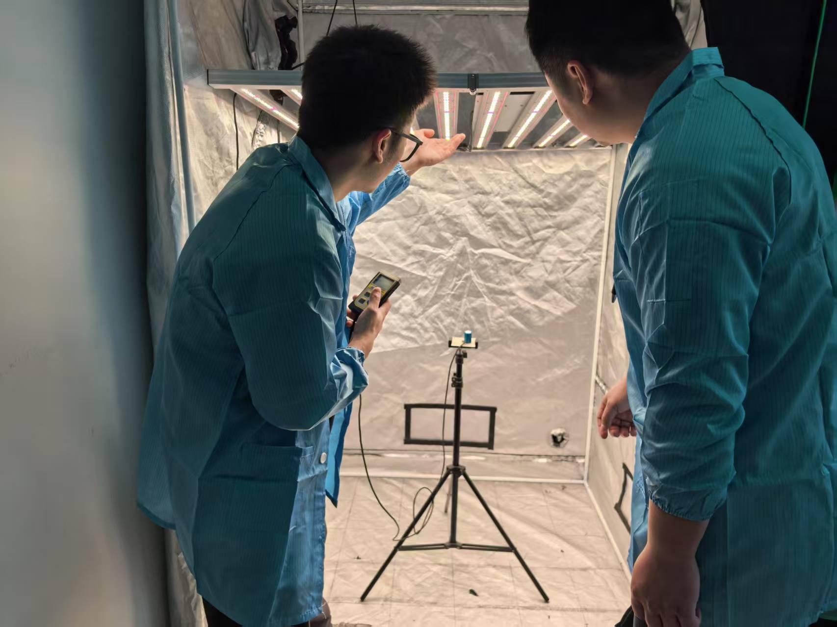 ICEVER Grow Light Electrical Stability Lighting Test