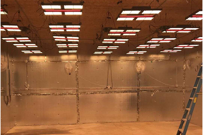 ICEVER QB pro full spectrum quantum board light with UV IR was used in a DIY grow tent kit for MMJ grow light system