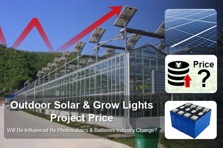 Outdoor Solar & Grow Lights Project Price Will Be Influenced By Solar Photovoltaics & Batteries Industry Change.jpg