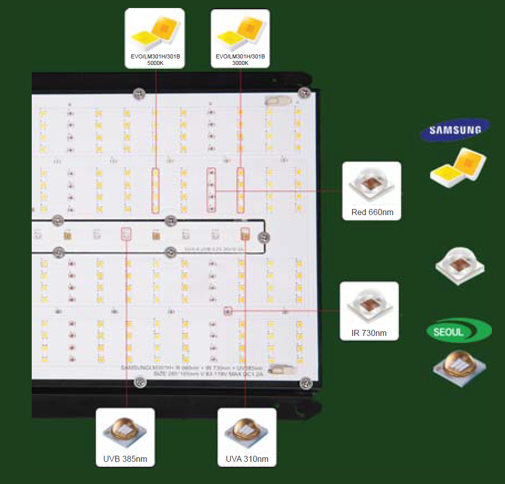 企业微信截图_17260412016967