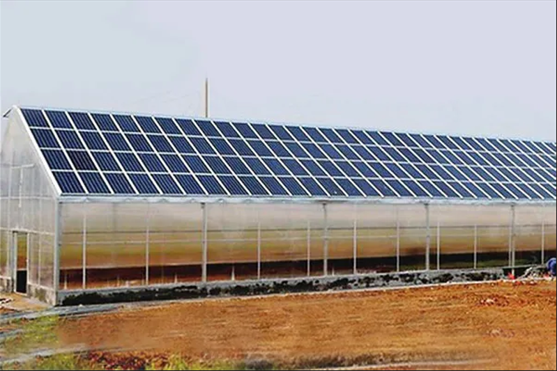 企业微信截图_17681830302118