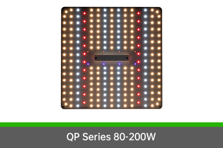 QP SERIES 80w 120w 150w 200w full spectrum LED grow light