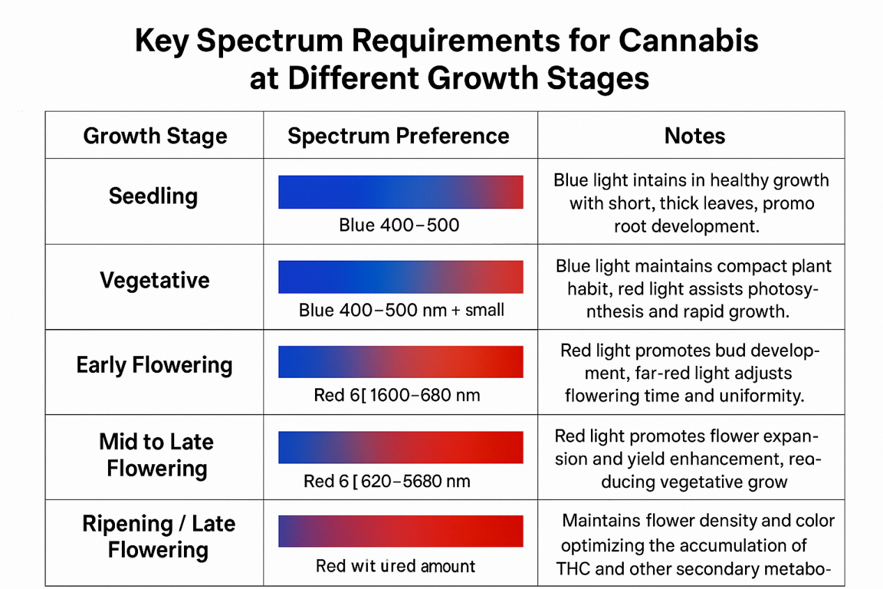 3.How Plants Use Light
