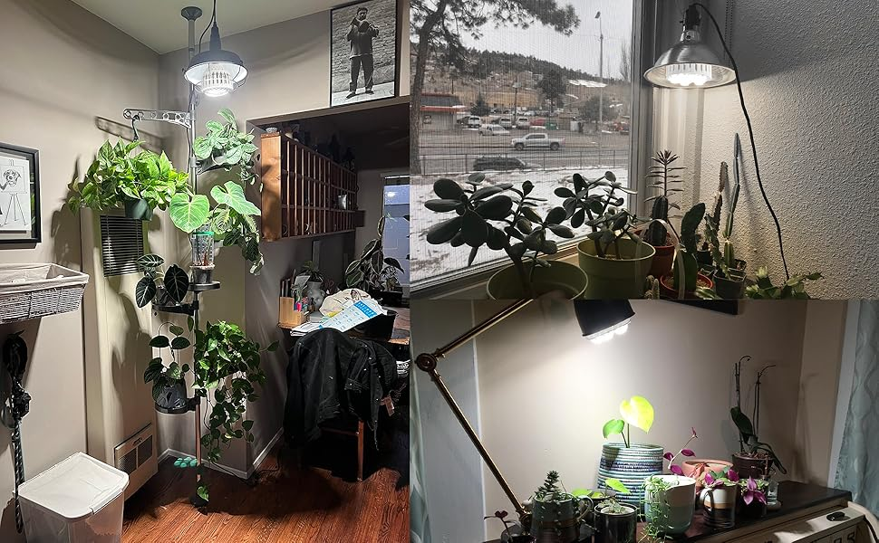 企业微信截图_17667145642026