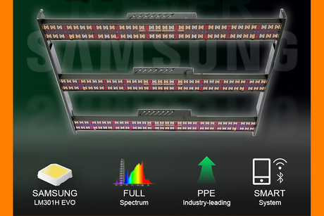 The QS PRO and QS PRO+ will be the first new full-spectrum plant lights launched by Icever in 2019.png