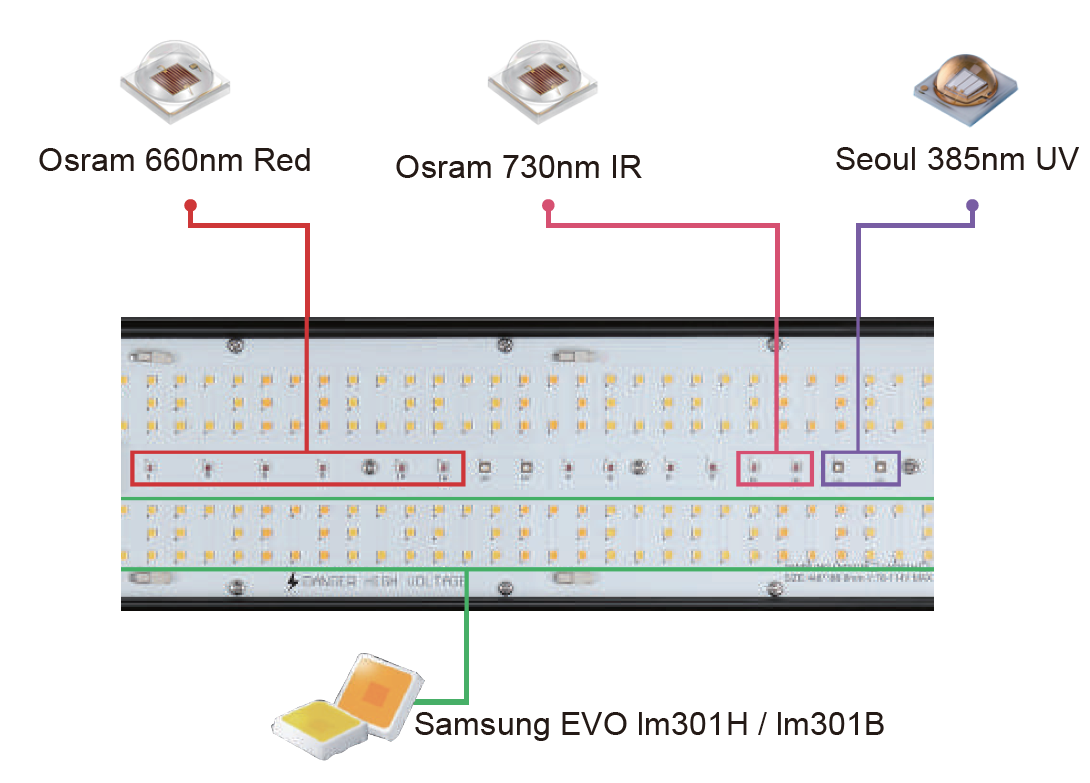 Distribution of Samsung, Osram, and Seoul LED chips in a grow lights