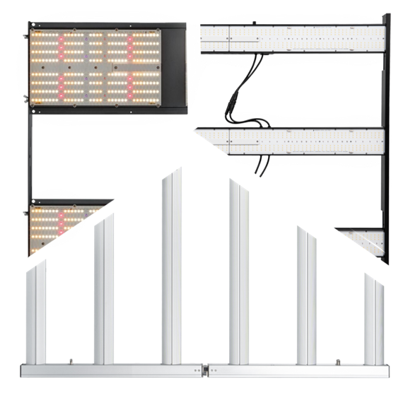企业微信截图_17435769236388
