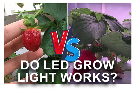 COVER Do LED Grow Light Works.png