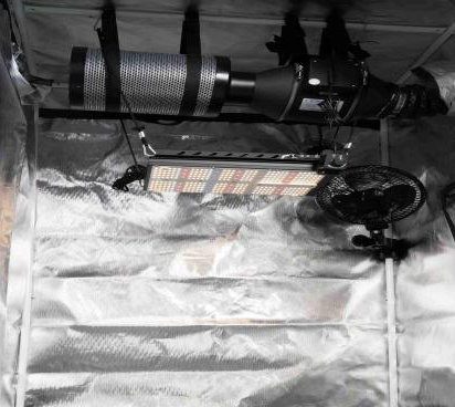 1How to Control Humidity Inside a Grow Tent