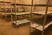 ICEVER is performing aging tests on DIY grow lights to ensure rigorous quality control