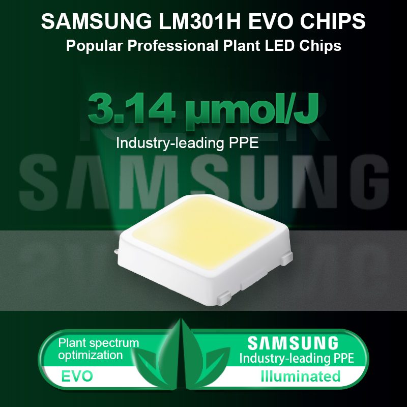 LM301H EVO LEDs with 3.14 PPE, its is a professional planting chip for full spectrum led grow lights & grow tent