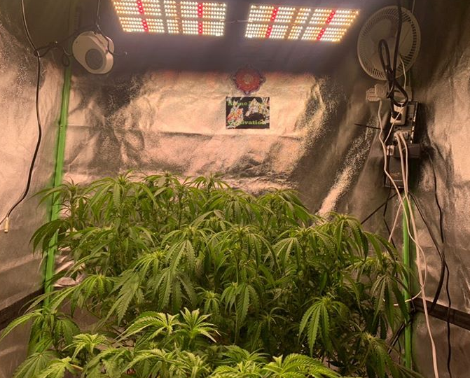 2How to Control Humidity Inside a Grow Tent