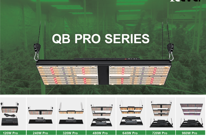 Newsletter: QB series- Provids Industry-leading Full Spectrum Lighting for Your Cannabis.