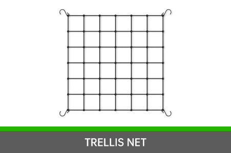 Trellis net