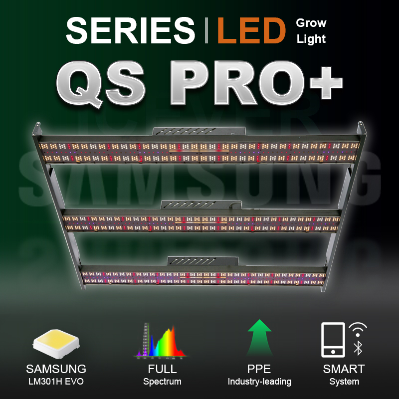 detail information of QS PRO full spectrum led grow lights 