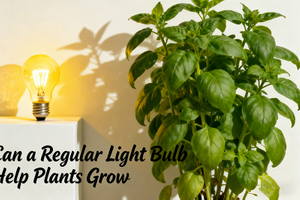can a regular light bulb help plants grow.png.jpg