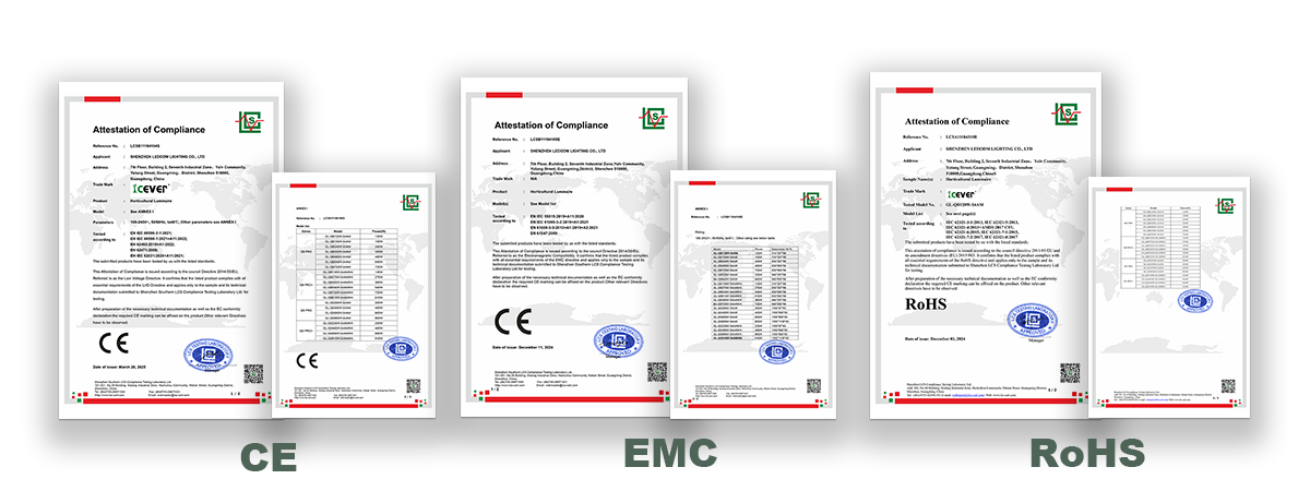 ICEVER Certificate of grow light