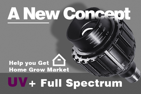 The&nbsp;New&nbsp;Opportunity&nbsp;in&nbsp;Indoor&nbsp;Gardening&nbsp;Grow&nbsp;Light&nbsp;Par.png