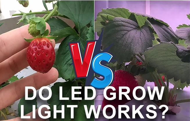 COVER Do LED Grow Light Works_654_417.png