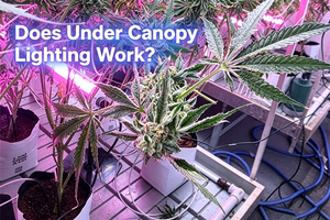 under canopy lighting cover 2.png