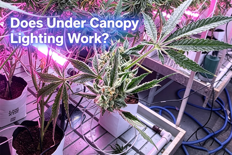 under canopy lighting cover 2.png