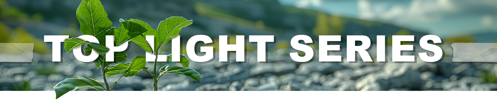 TOP LIGHT SERIES