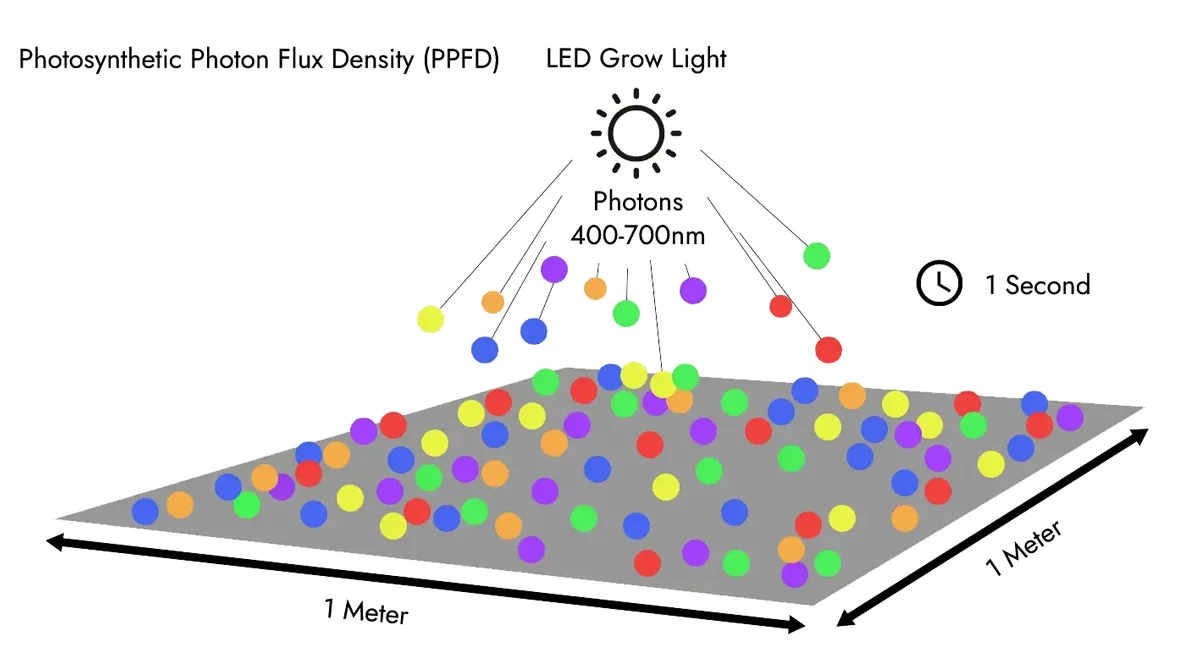 Optimize Chip Density to Eliminate Self-Shading Light Loss2.png