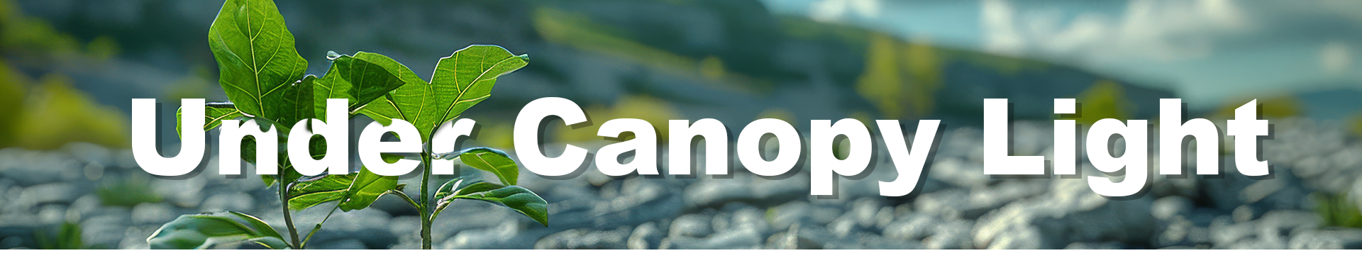 Under Canopy Light