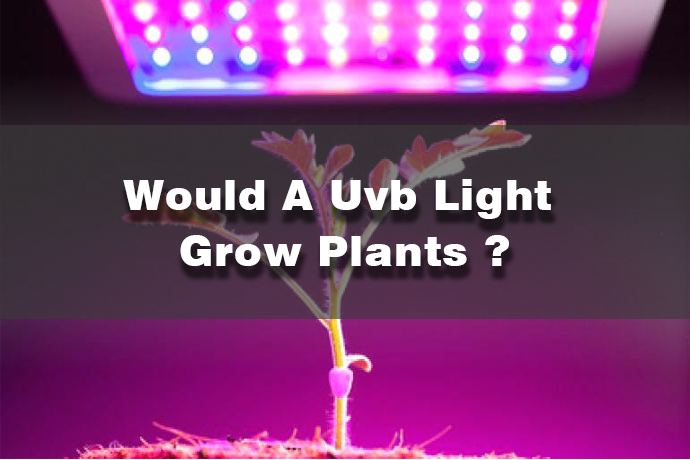 would a uvb light grow plants​.png