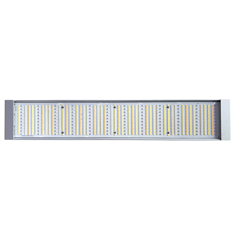 ICEVER commercial top lights (320W, 600W, 1000W) Equipped with premium LED chips for stable energy efficiency and light output