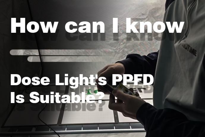 How can I know if light's PPFD is suitable (How far)?