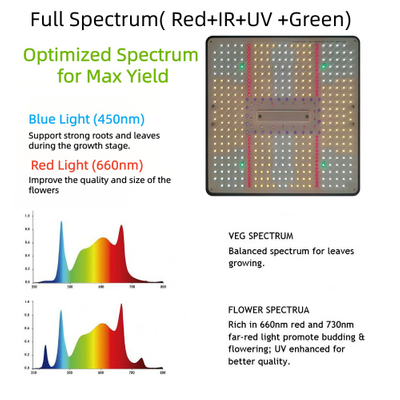 The ICEVER QP PRO full-spectrum grow light incorporates specialized UV and IR wavelengths; these specific spectral components exert distinct influences depending on the p