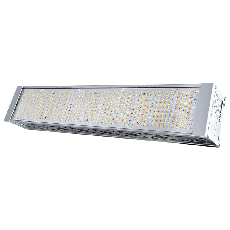 Overview of ICEVER’s commercial top lights (320W, 600W, 1000W)