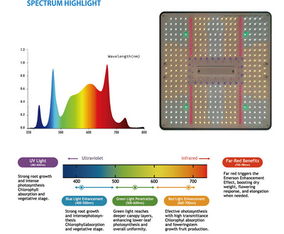 ICEVER QP PRO Grow Light Diverse Spectra—Bringing Superior Technology to High-Value, Cost-Effective Products.